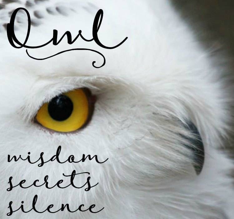 Night Sky Barn Owl Earrings