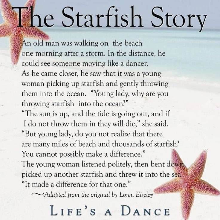 Cassie Starfish Earrings - 