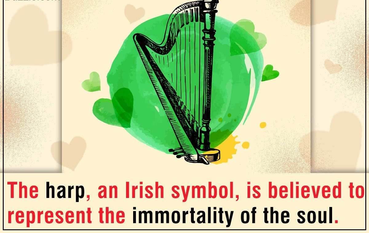 Ireland's Harp Post Earrings - 