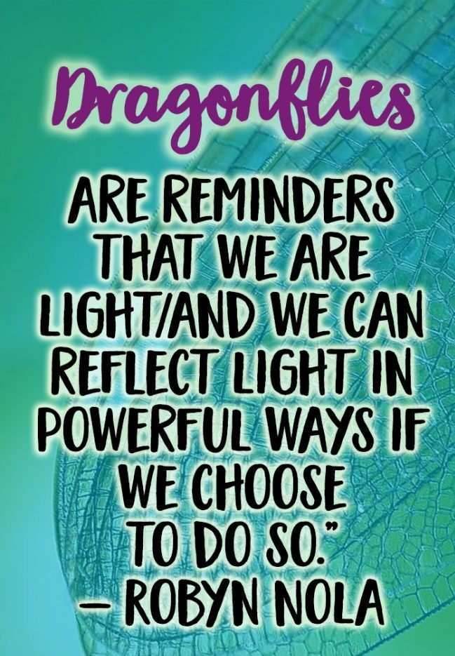 Summerdancer Dragonfly Necklace - 18