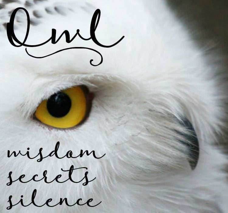 Syra Owl Necklace - 18