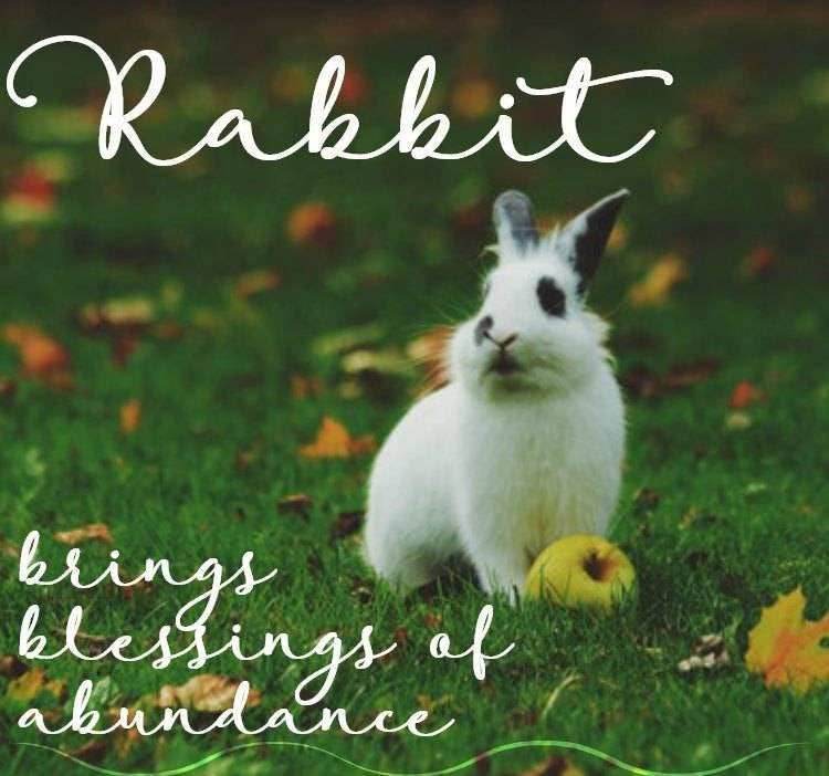 Two Rabbits Necklace - 