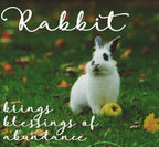 Thistledown Rabbit Post Earrings