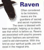 Morgana Raven Earrings - 