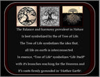Arianrhod Tree of Life Shell Necklace - Mother of Pearl