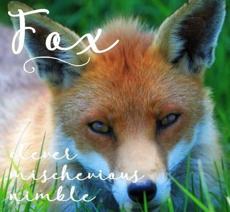 Fiona Fox Necklace - 18