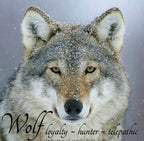 Wolf Spirit Earrings - 