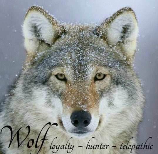 Mac Tíre Wolf Necklace - 18