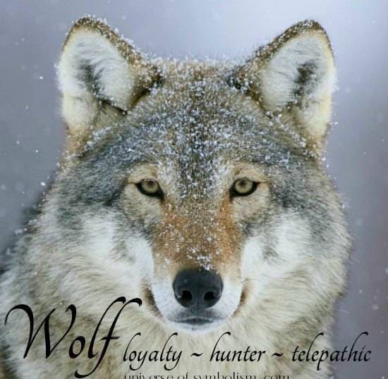 Wolf Moon Necklace