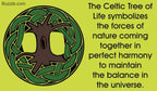 Enchanted Tree of Life Ring - 4