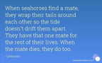 Summerleaze Seahorse Necklace - 18