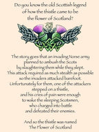 Vyolet Scottish Thistle Necklace