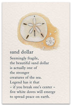 Seabrook Realistic Sand Dollar Earrings - 