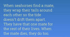 Irish Sea Seahorse Necklace - 18