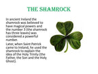Shamrock Enamel Earrings - 