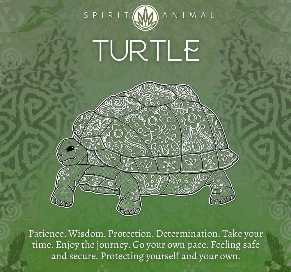 Moonstone Turtle Necklace - 