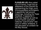 Garnet Fluer De Lis Necklace - 18