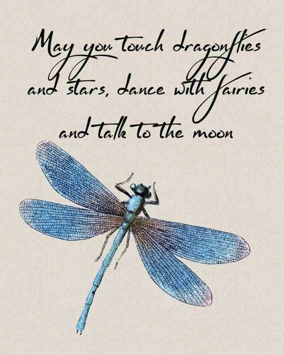 Forest Glen Dragonfly Earrings - Chalcedony