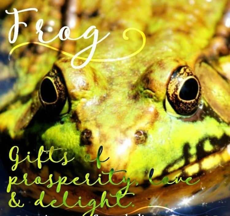 Sásta Frog Earrings - 