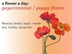 Poppy Flower Necklace - 18