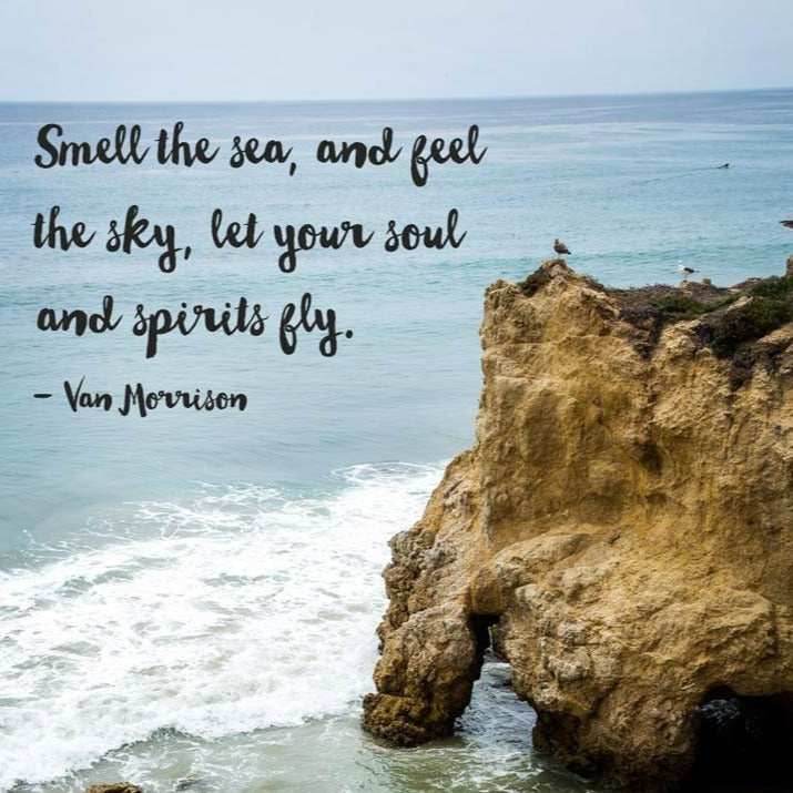 Pacific Wave Earrings - 