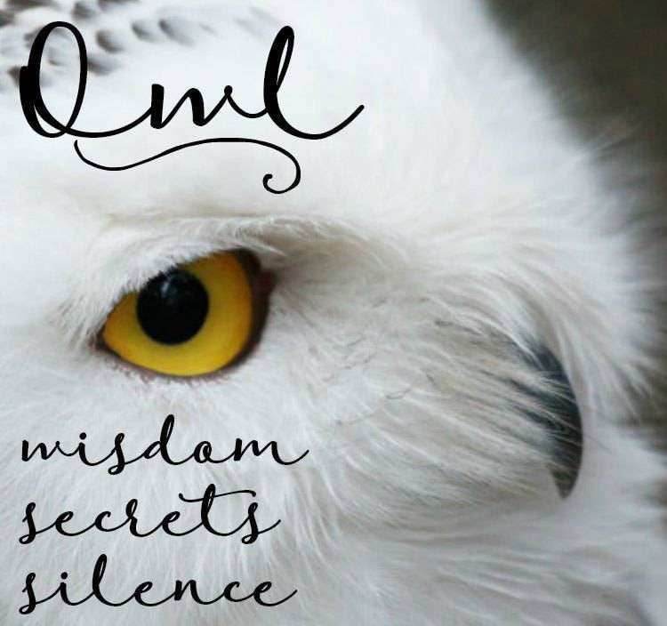 October Moon Owl Ring - 5