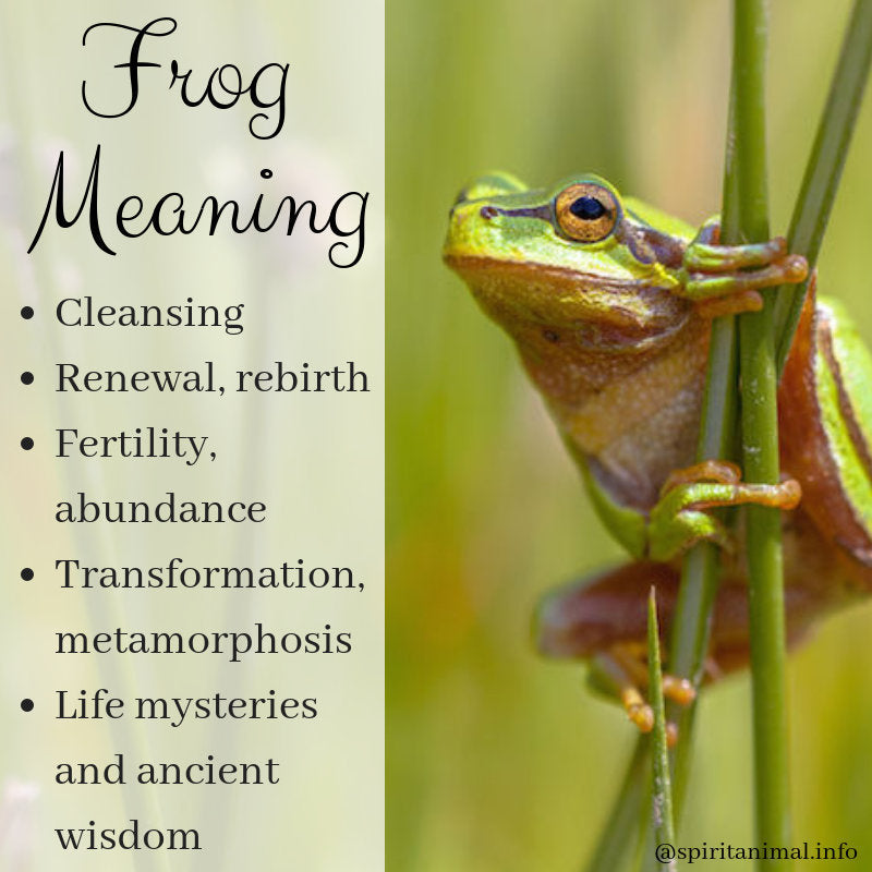 Enamel Frog Necklace