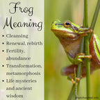 Enamel Frog Necklace
