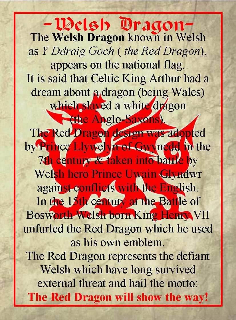 Welsh Dragon Money Clip - 