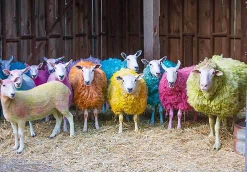 Wooly Sheep Scarf Ring - 