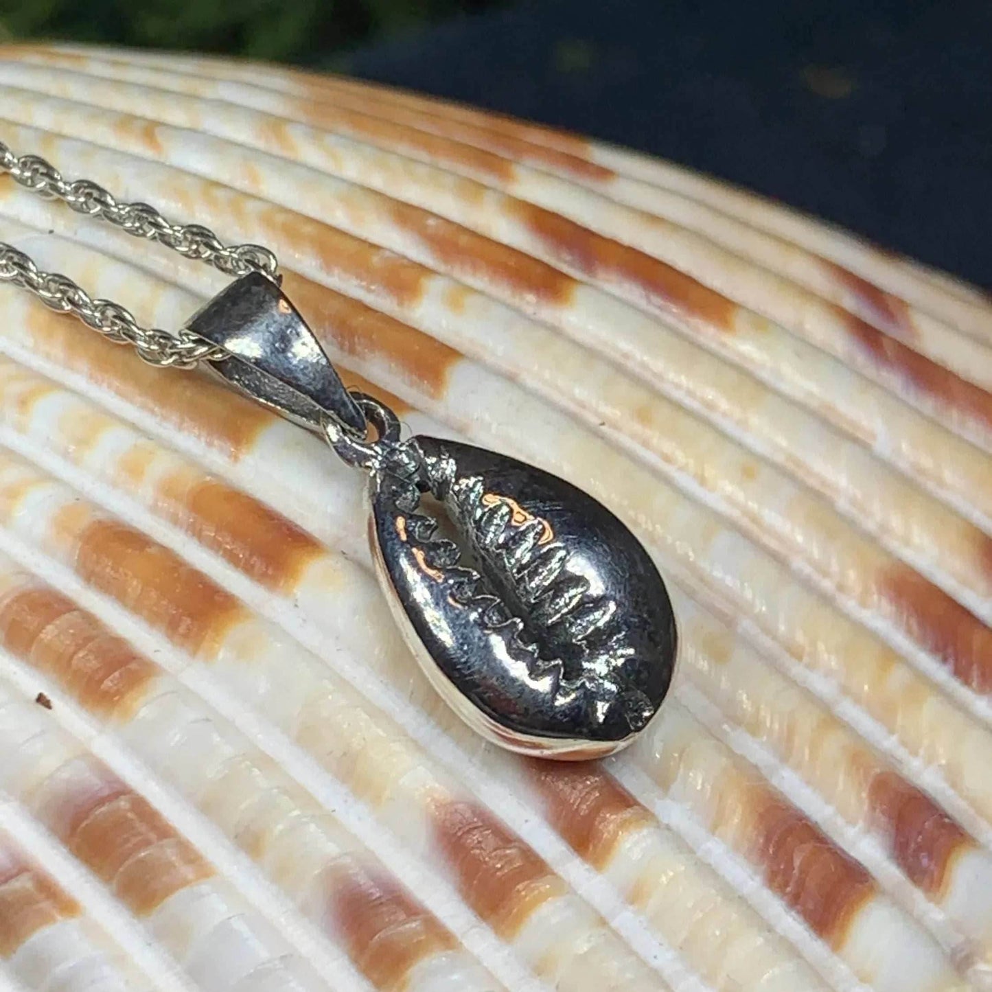 Cowry Shell Necklace - 