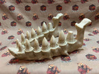 Dragon tooth Dice set - Bone / D2