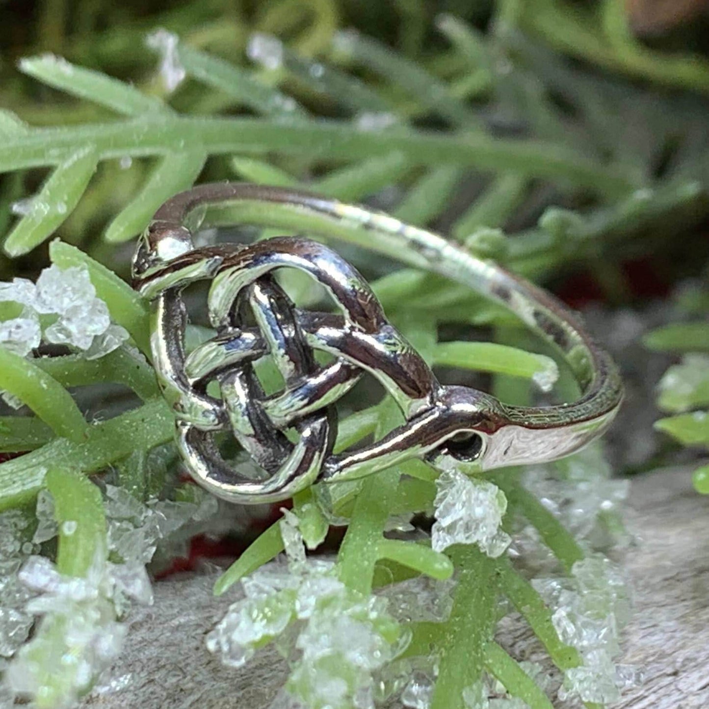 Elenora Celtic Knot Ring - 6