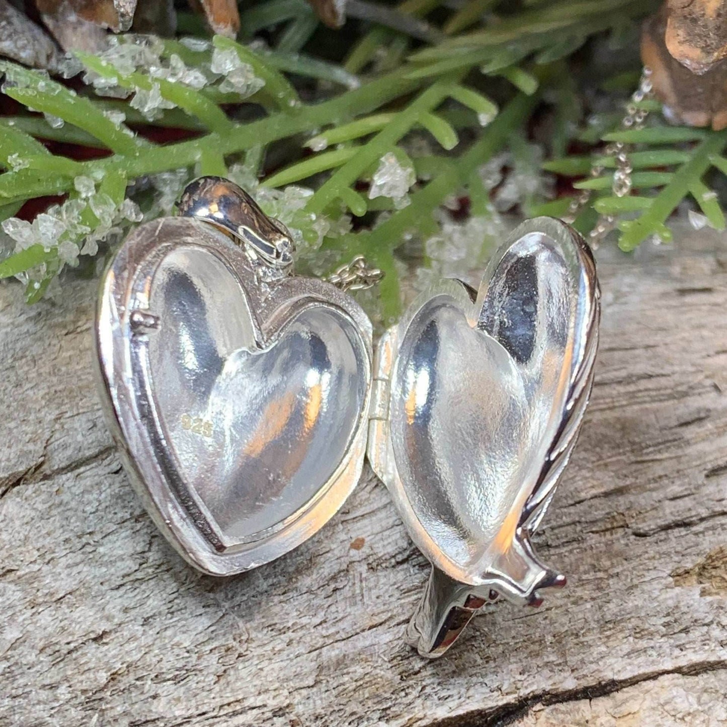 Florent Angel Wings Locket Necklace - 18