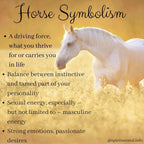 Prancing Horse Post Earrings - 