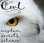 Hoot Owl Stud Earrings - 