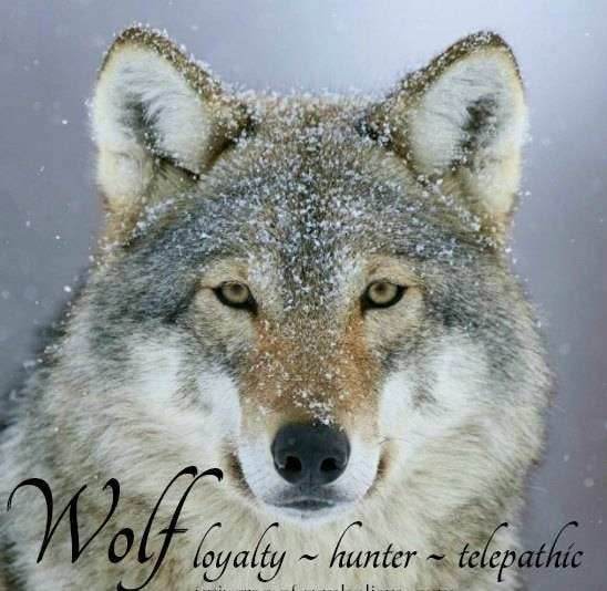 Walden Wolf Necklace - 18