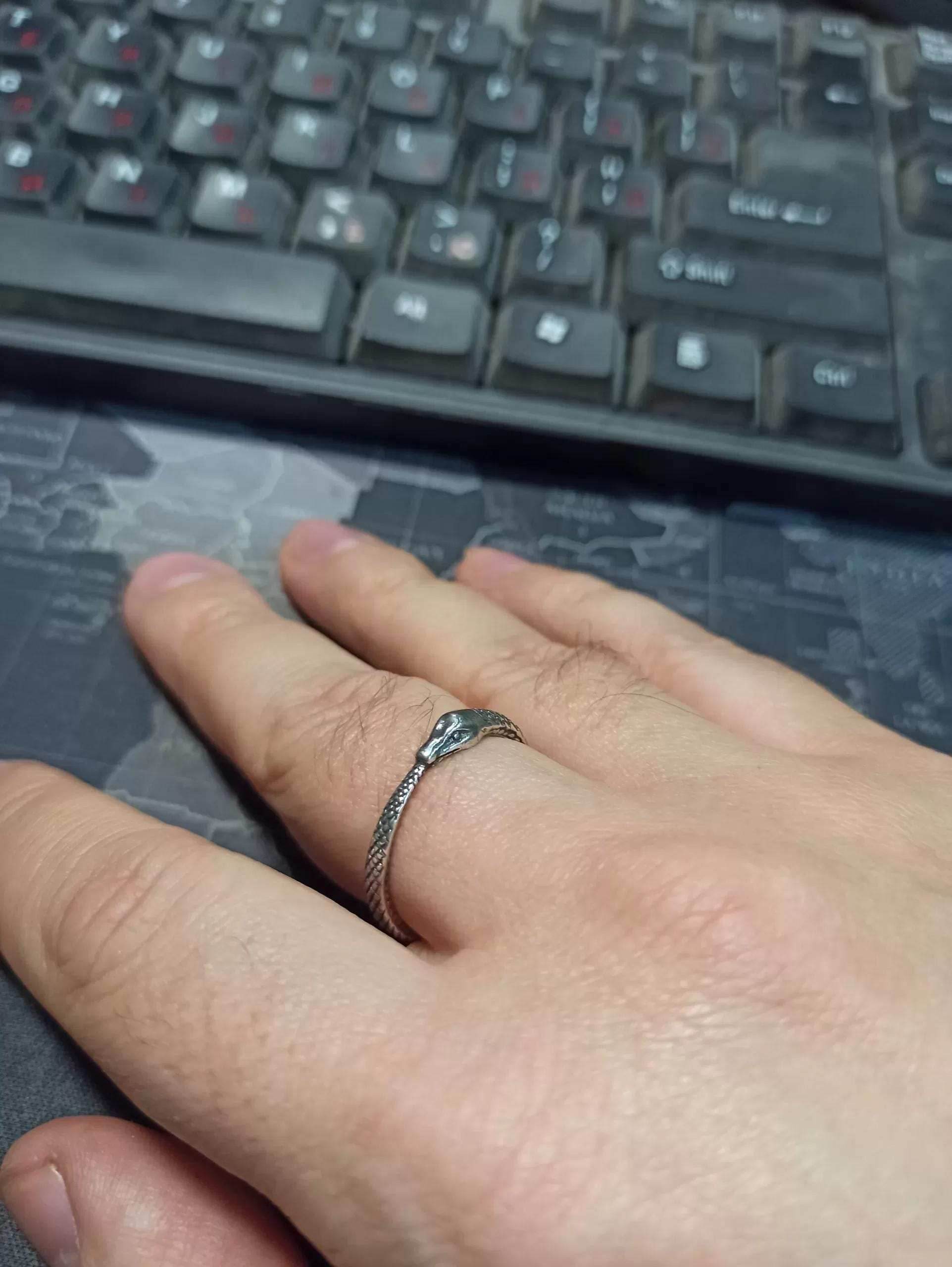 Ouroboros Snake Silver Ring - 