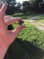 Caleb Inspired Color Shifting Handmade D20 Dice