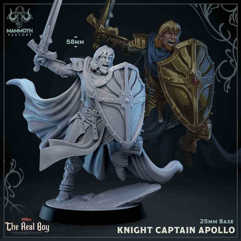 Knight Captain Apollo (Male Human Paladin) - 