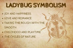 Lucky Ladybug Earrings - 