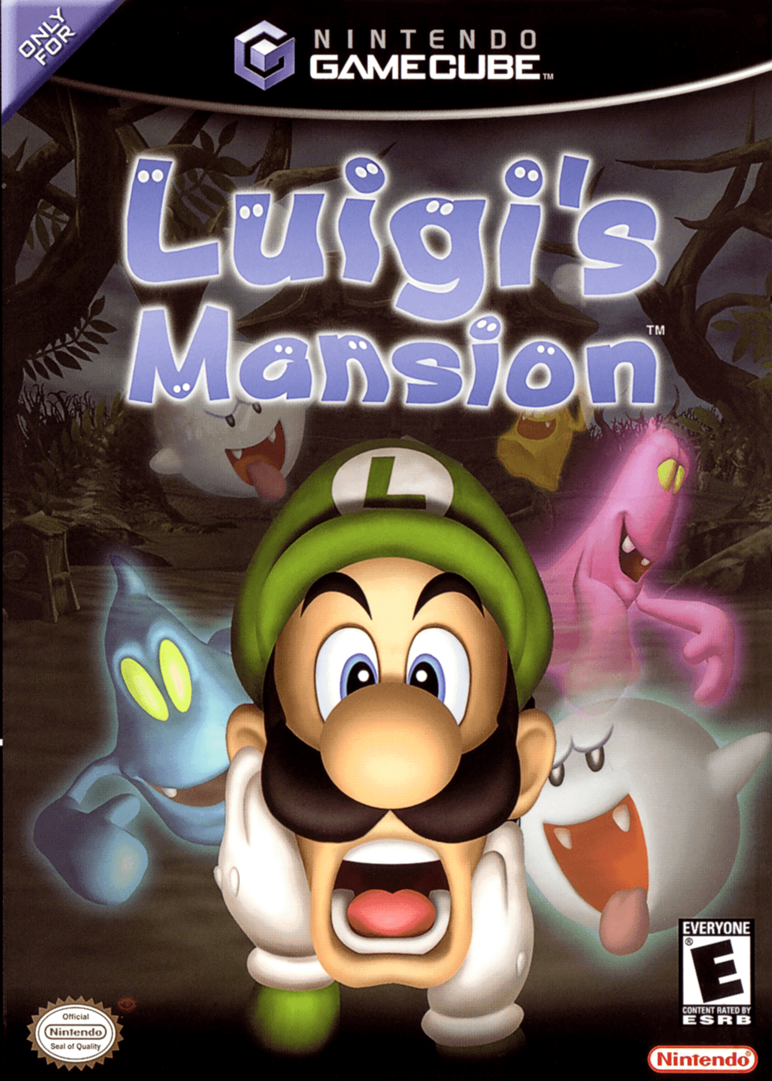 Luigi's Mansion (Gamecube) - Game Manual Only