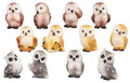 Assorted Mini Owl - Random - 