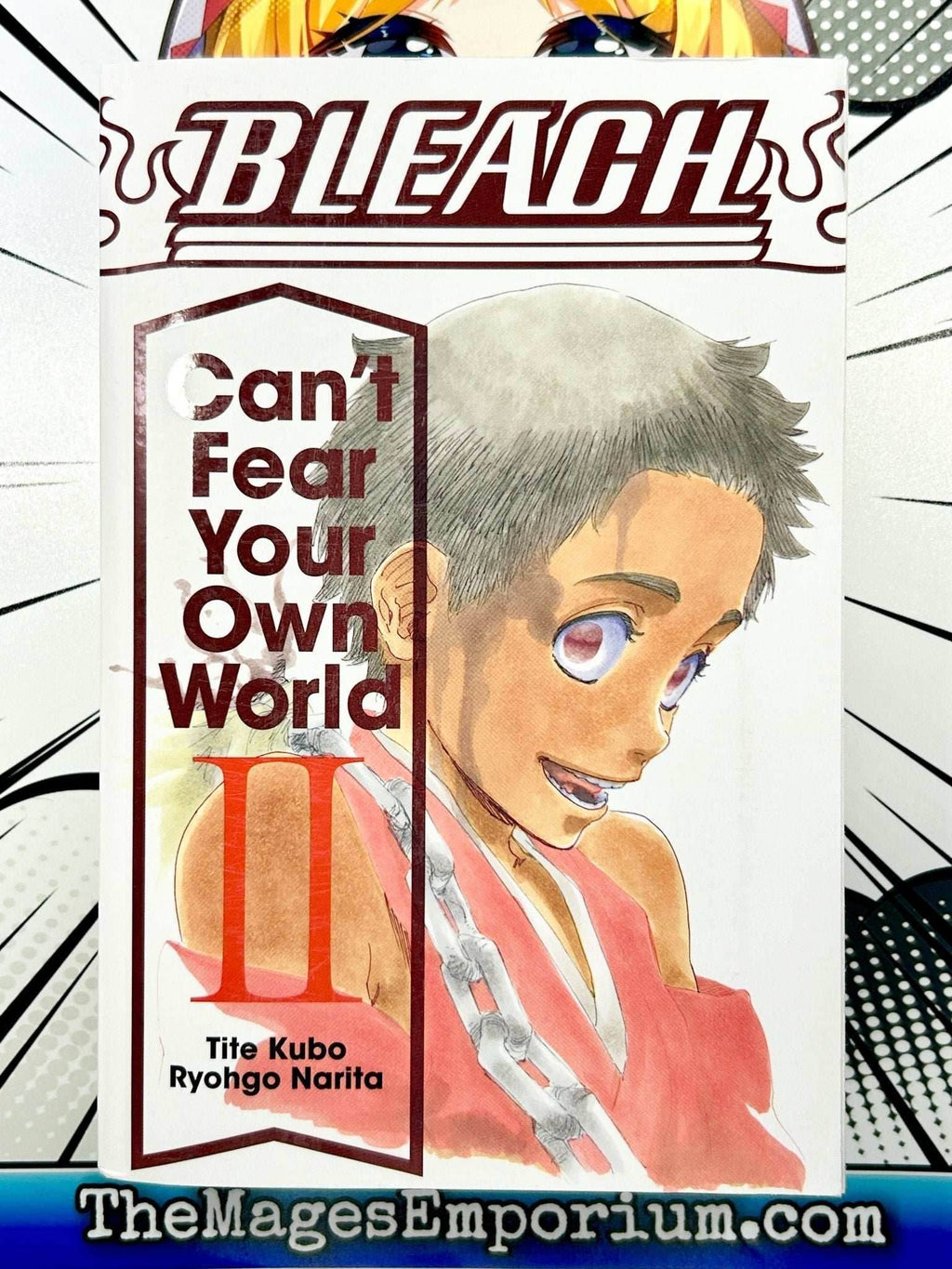 Bleach Can't Fear Your Own World Vol 2 - 