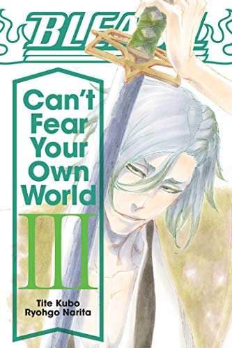 Bleach Can't Fear Your Own World Vol 3 - 