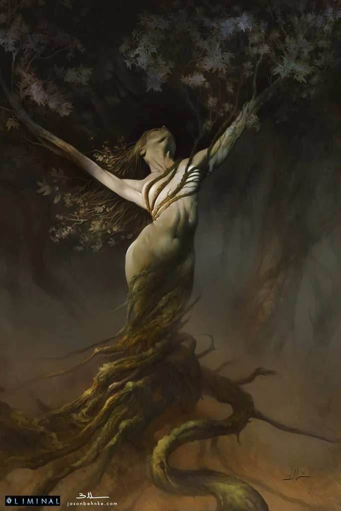 Liminal - Core Book - 