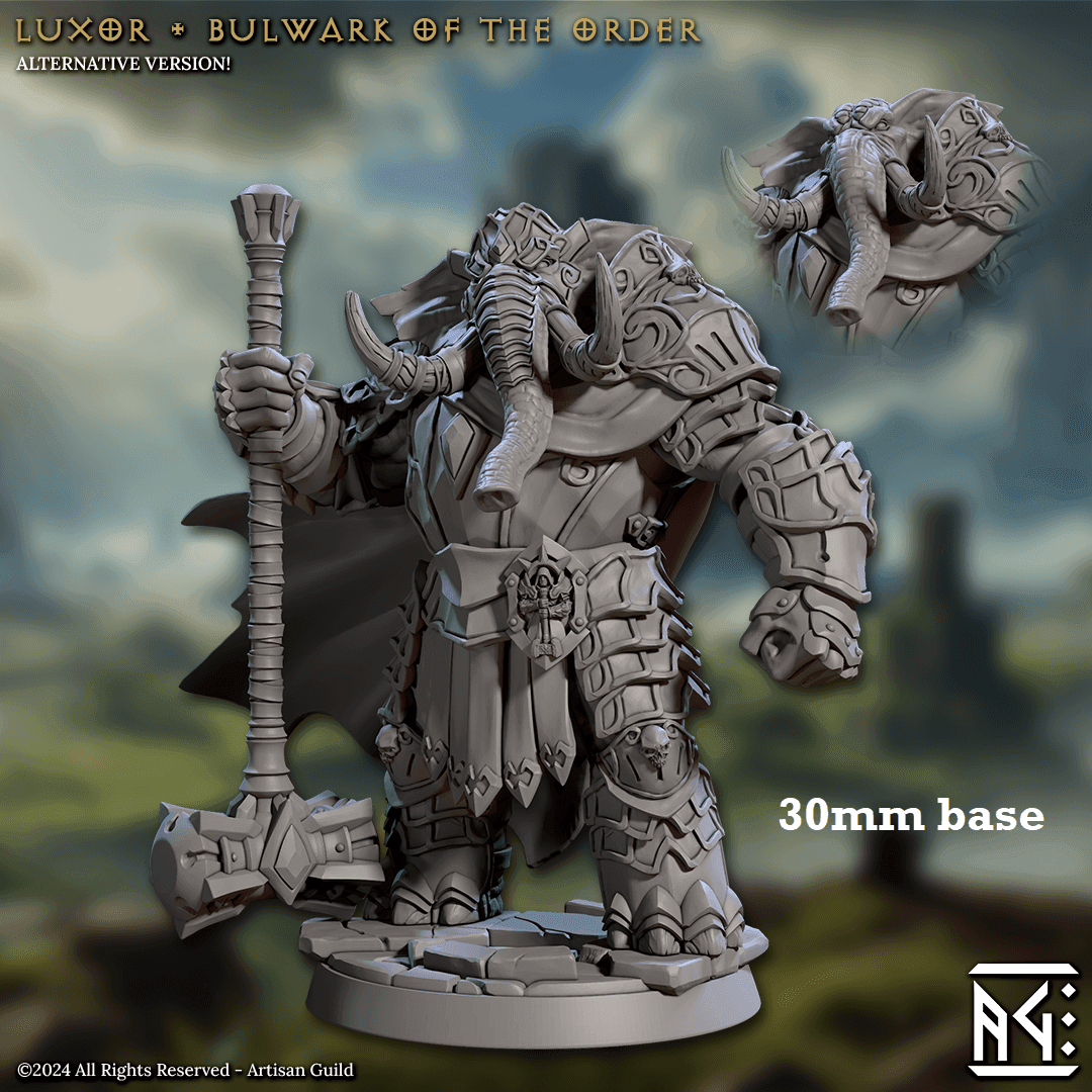 Luxor, Bulwark of the Order (Male Loxodon Paladin) - With Helmet