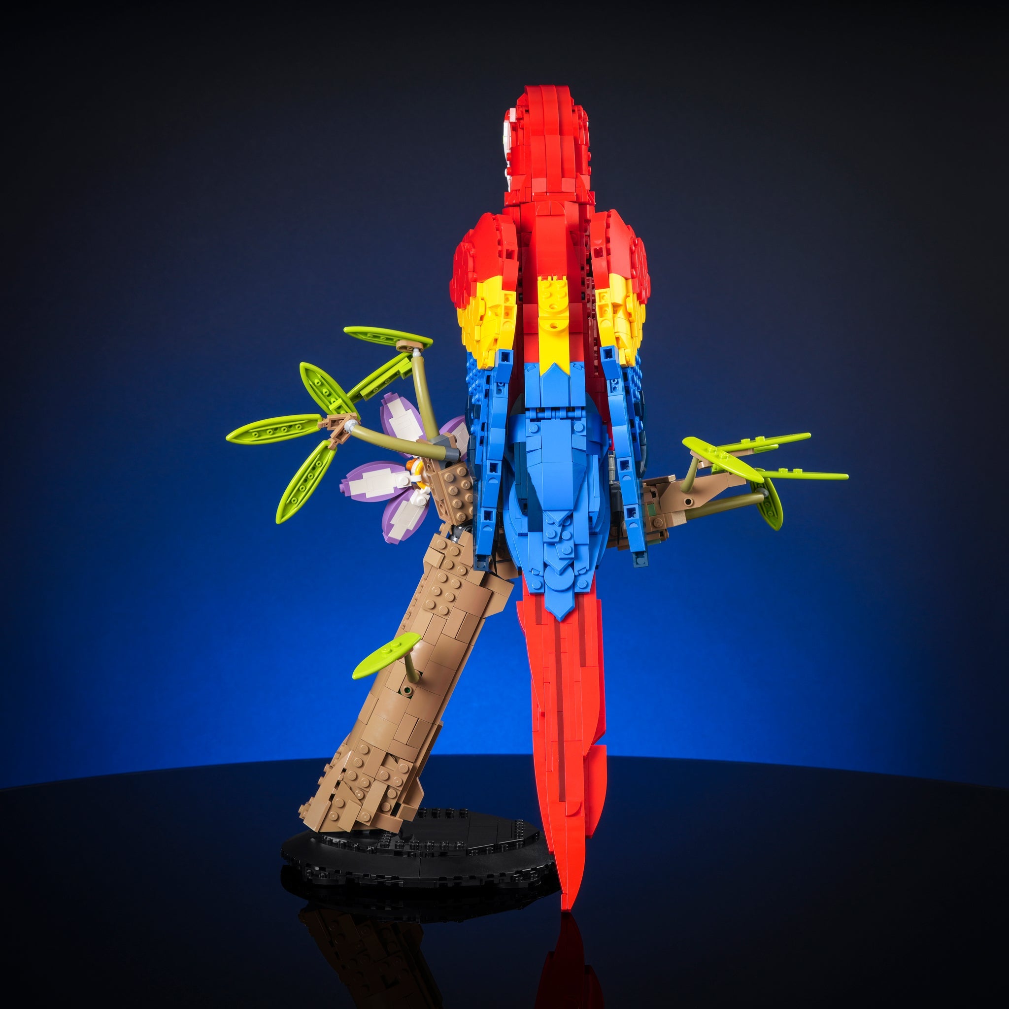 Scarlet Macaw