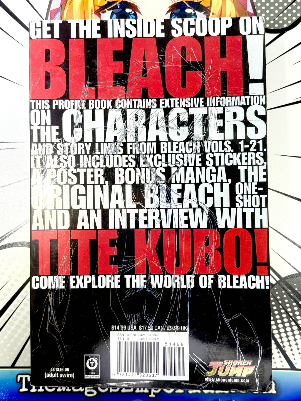Bleach Official Character Book Souls - 