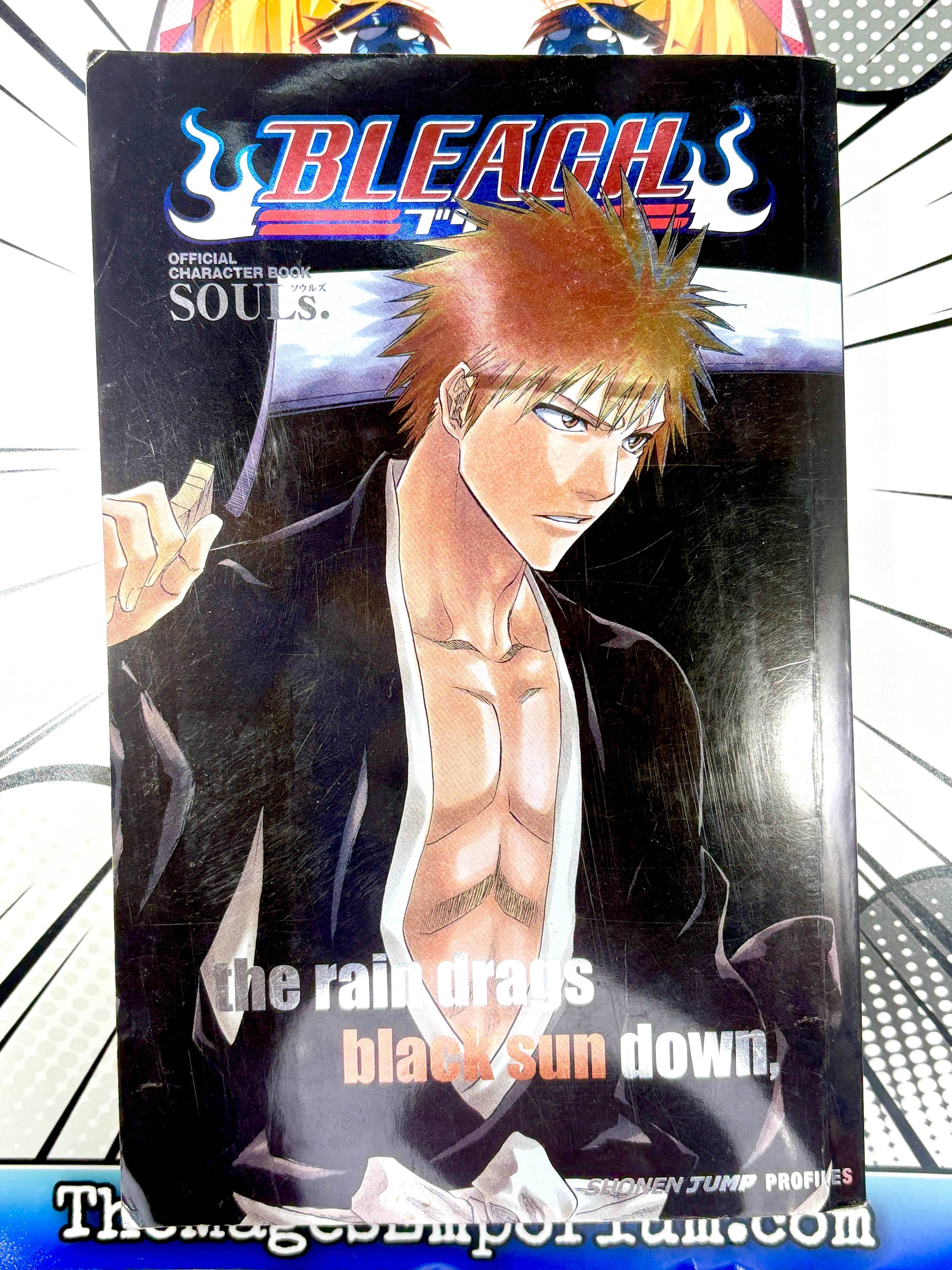 Bleach Official Character Book Souls - 